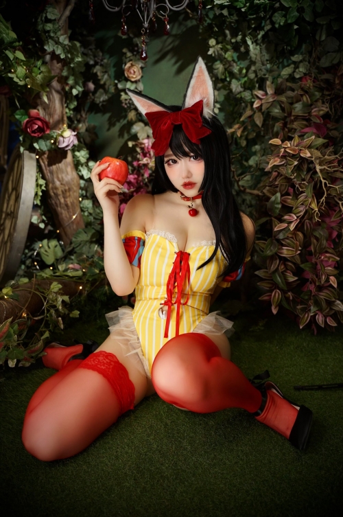 バニーガール Bunny girl Cosplay 79