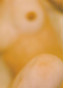 Miho Kanno Hair Nude Image039