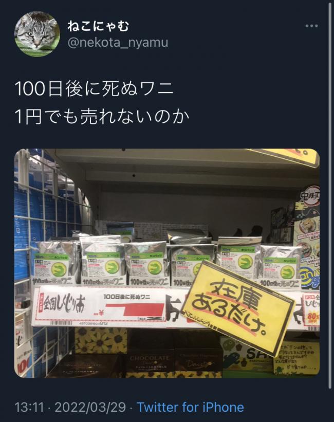 【悲報】100ワニグッズ、ついに1円でも売れなくなってしまうｗｗｗ